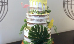 Tarta tropical